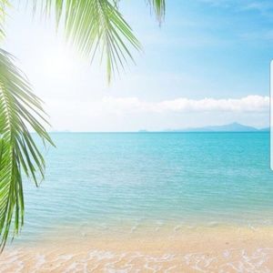 Meet your Posher, Darlene